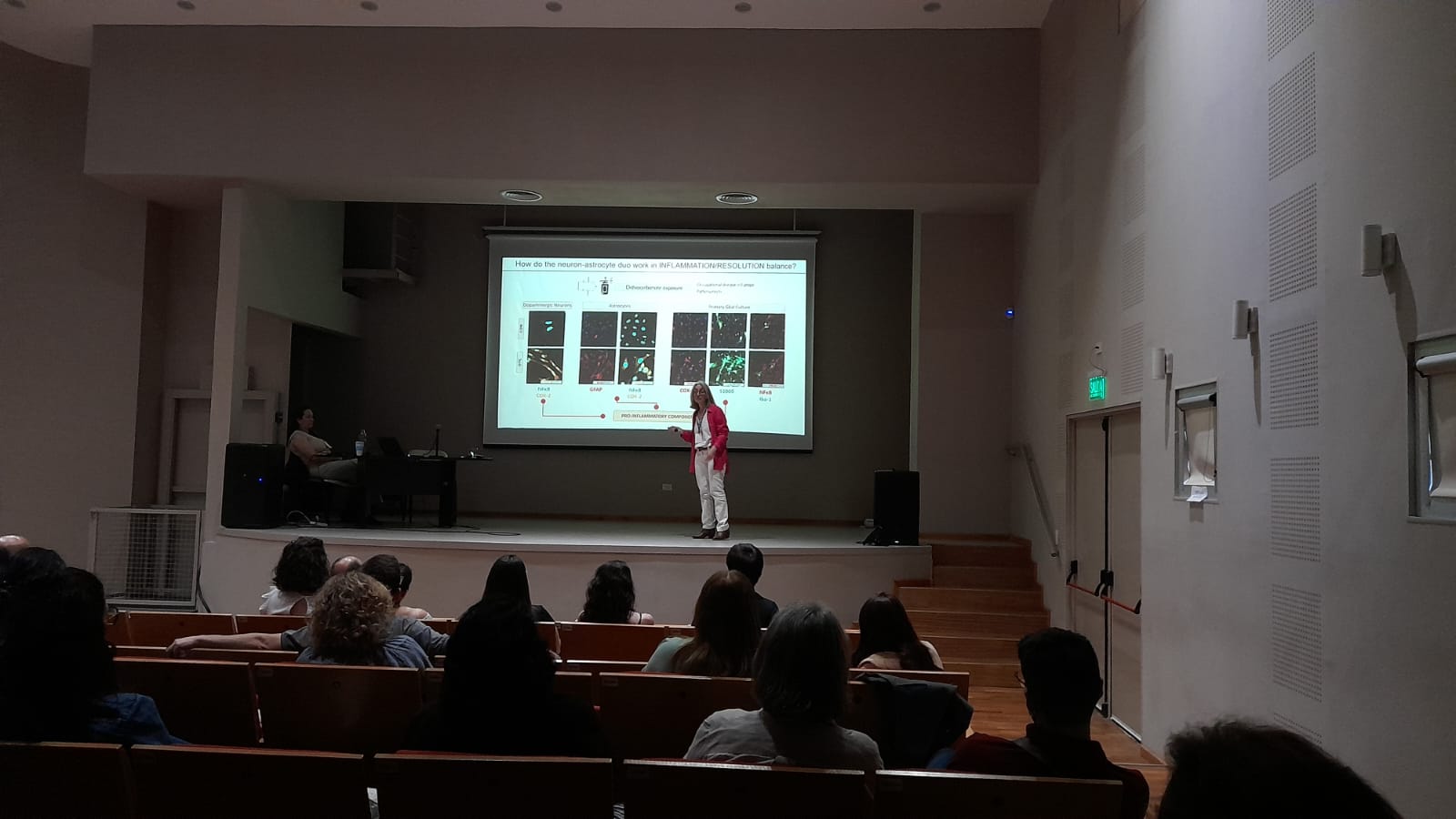 🔬 LVI Reunión Anual de la AAFE